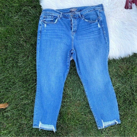 Torrid high rise straight 20R plus jeans - Picture 1 of 4